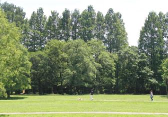 秋ヶ瀬公園の画像